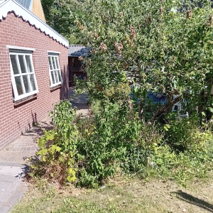 Image tuinaanleg-castricum-1