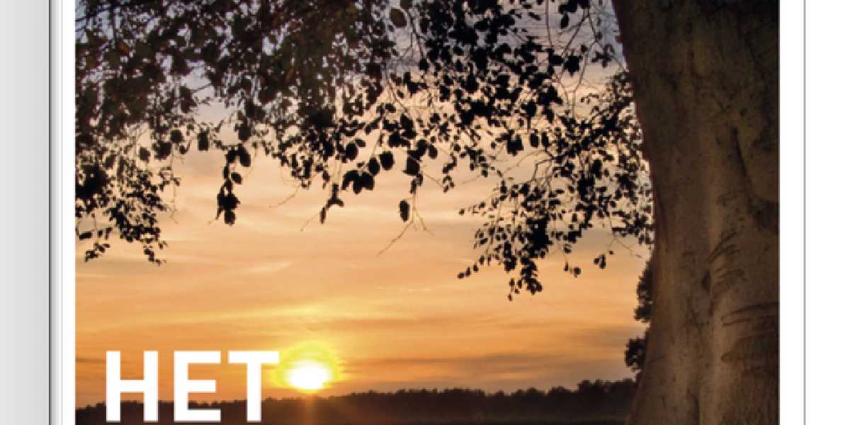 Boek: Het verborgen leven van bomen