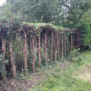 Image tuinontwerp-castricum-2-4