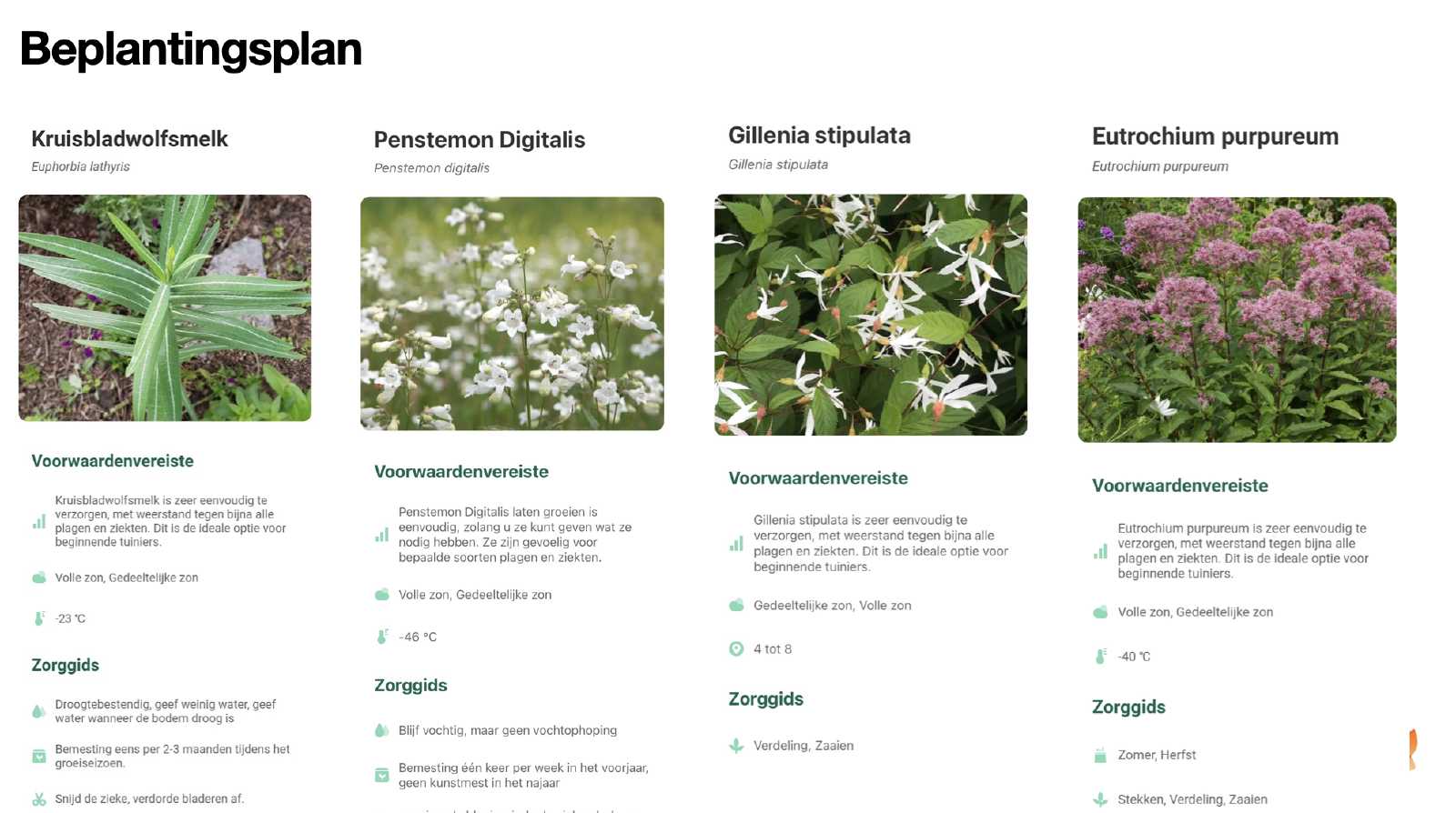 projecten/plantenpaspoorten-lk208.png
