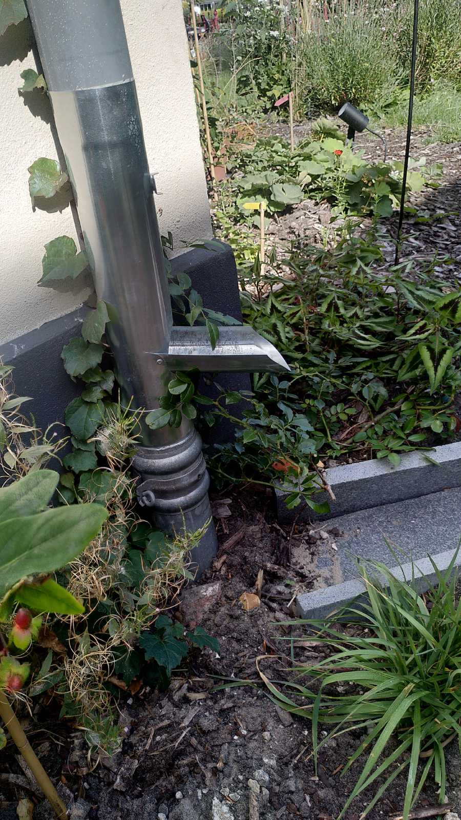 rest-website/regenafwatering.jpg