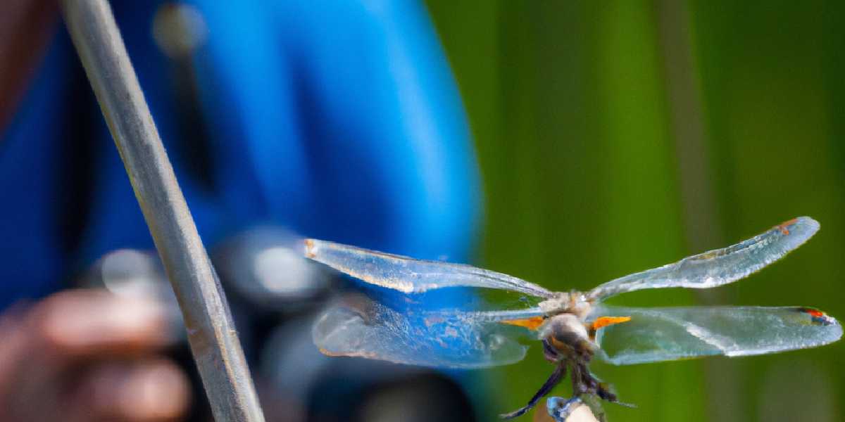 Water zorgt voor deze 10 soorten in je tuin